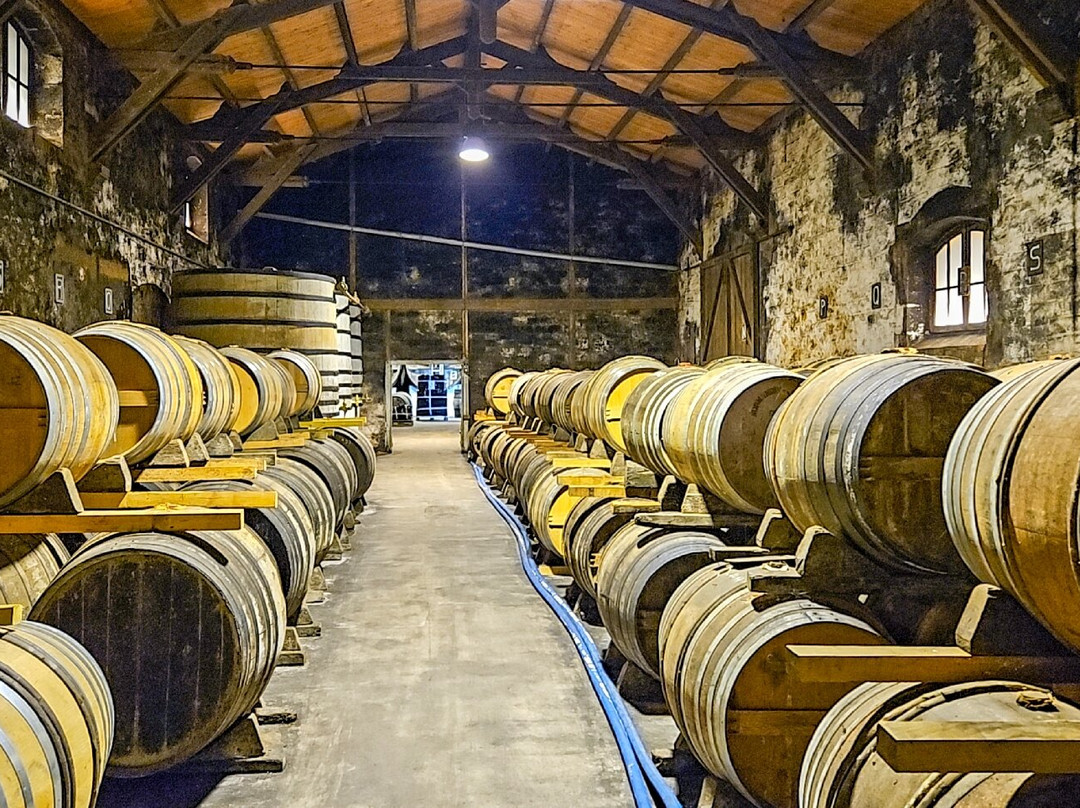 Cognac J. Normandin-Mercier-Dompierre sur Mer必去景点