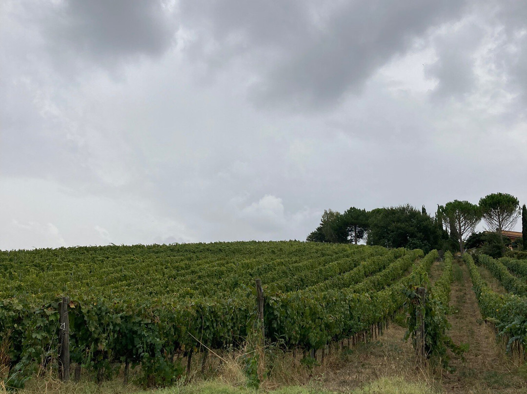 Le Colline di Sopra景点图片