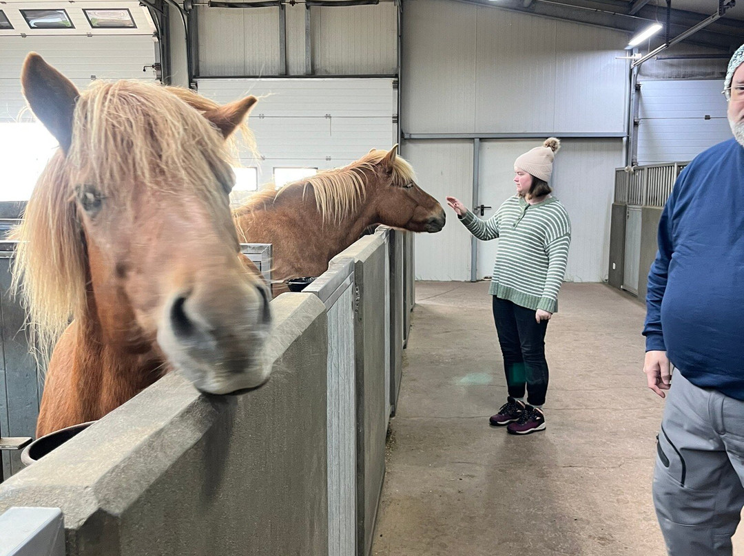 Icelandic HorseWorld-海拉必去景点