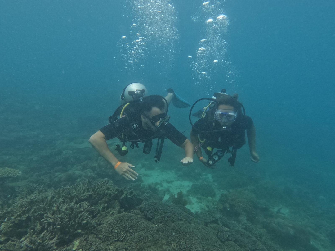 Diving paradise zanzibar-Kendwa必去景点