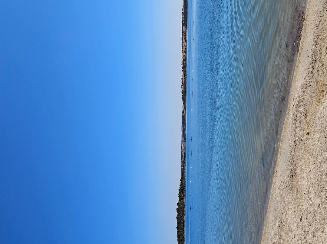 Praia Fluvial de Monsaraz景点图片