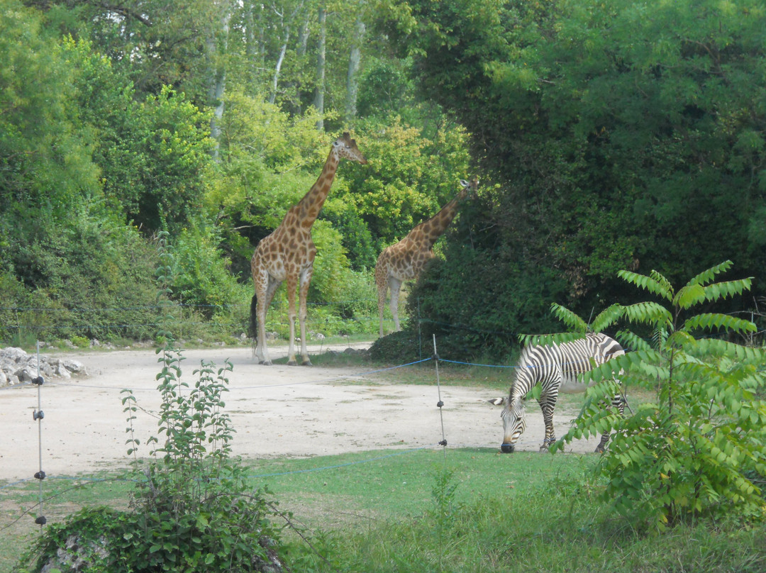 Zoo de Lyon-里昂必去景点