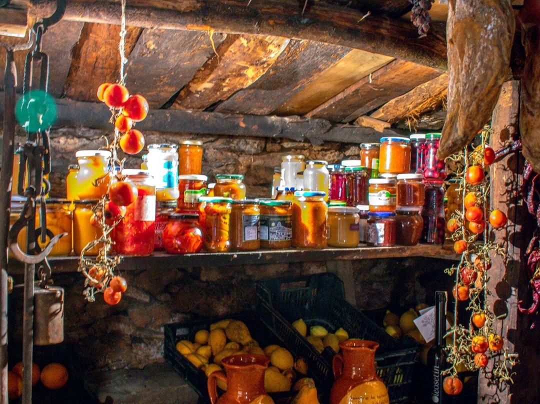 Oleosetin Tienda - Museo景点图片