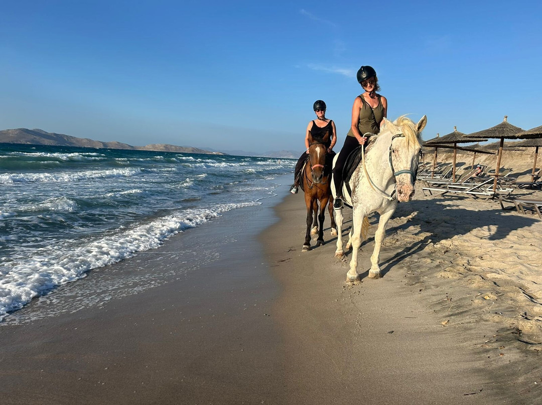 The Ranch Kos Horse Riding景点图片