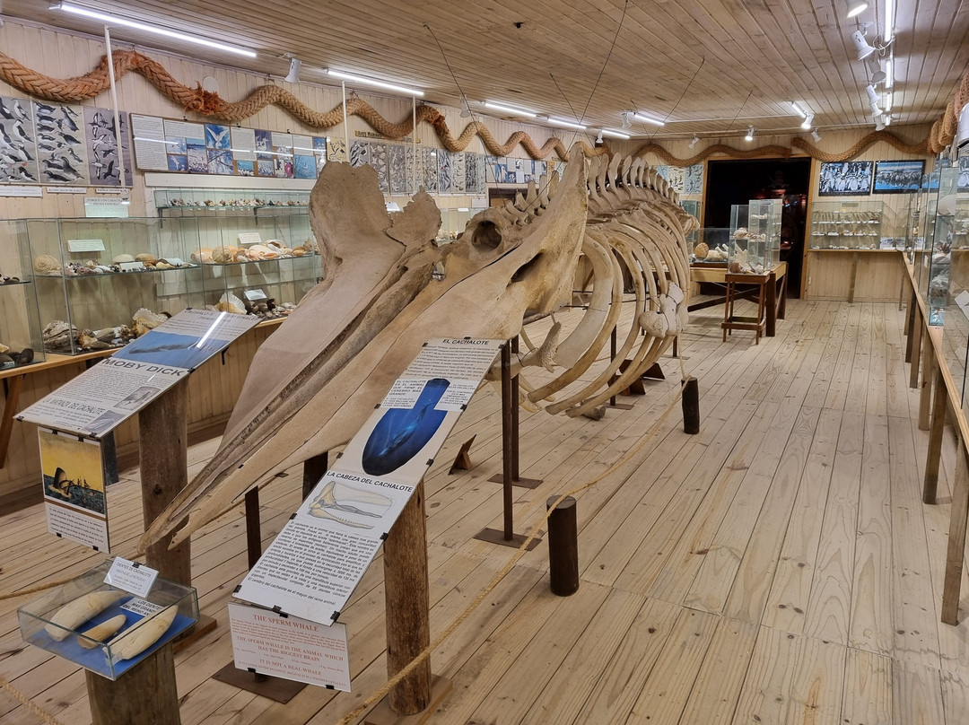 海洋博物馆-La Barra必去景点