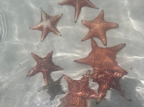 Sapphire Watersports-七哩滩必去景点