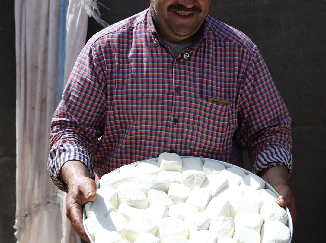 33north-Beit Meri必去景点