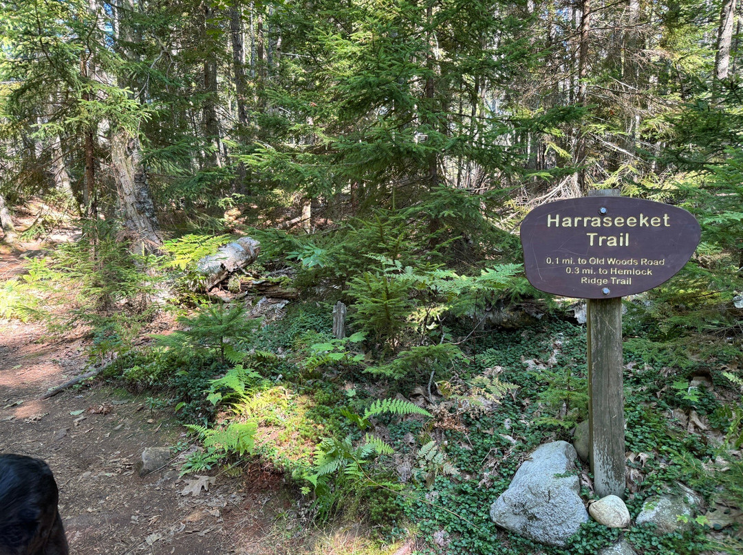Wolfe's Neck Woods State Park景点图片