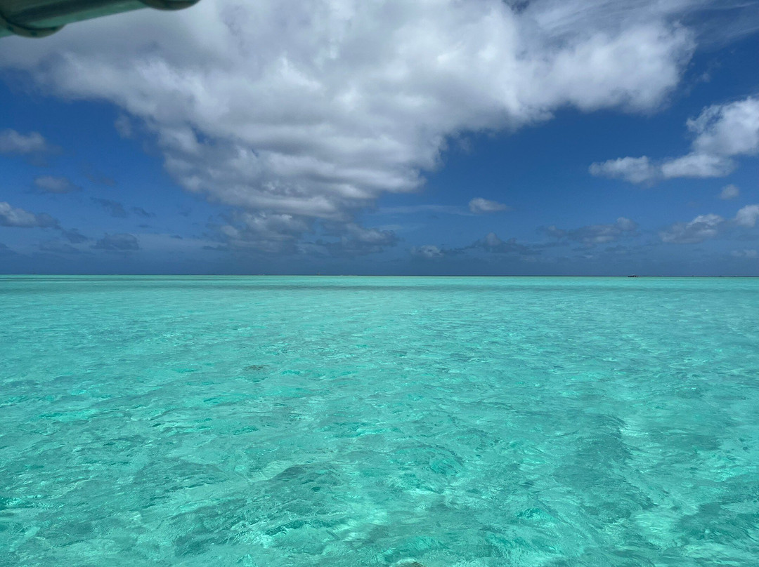 Coral Gardens-波拉波拉岛必去景点