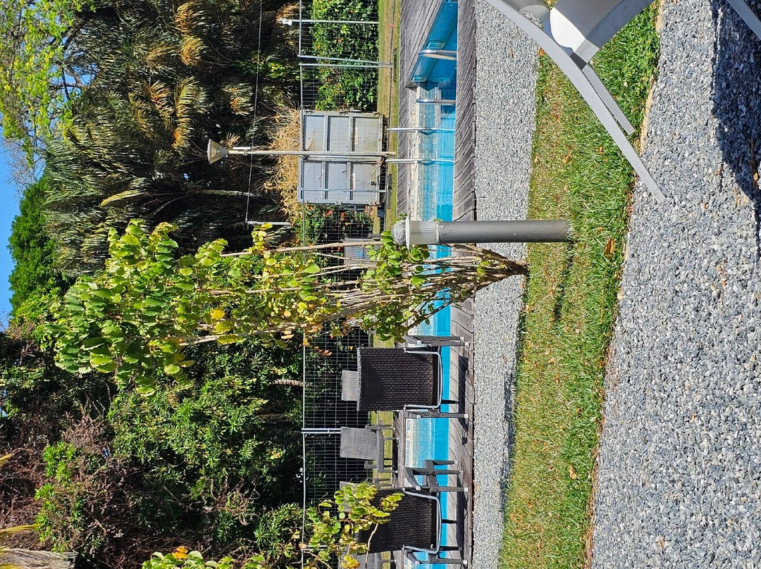 Grand Hotel Montabo主图