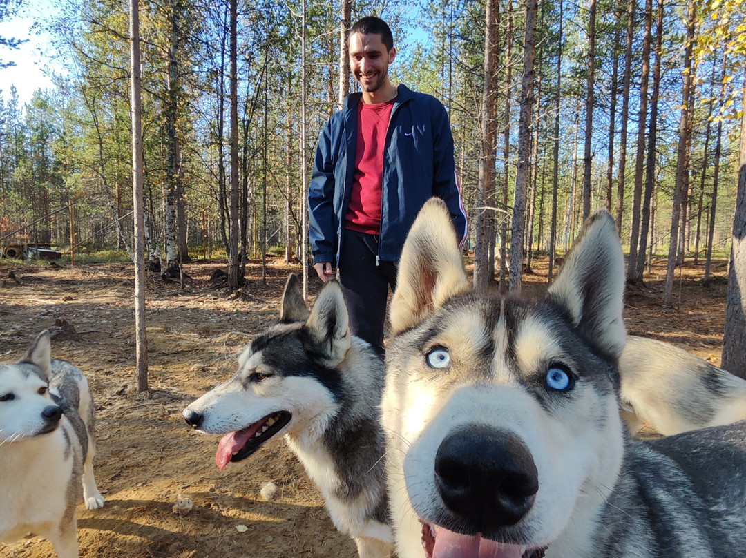 Happy Huskies景点图片