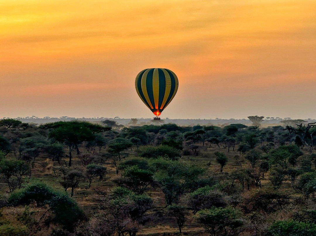 Luxury Short Safari-桑给巴尔岛必去景点