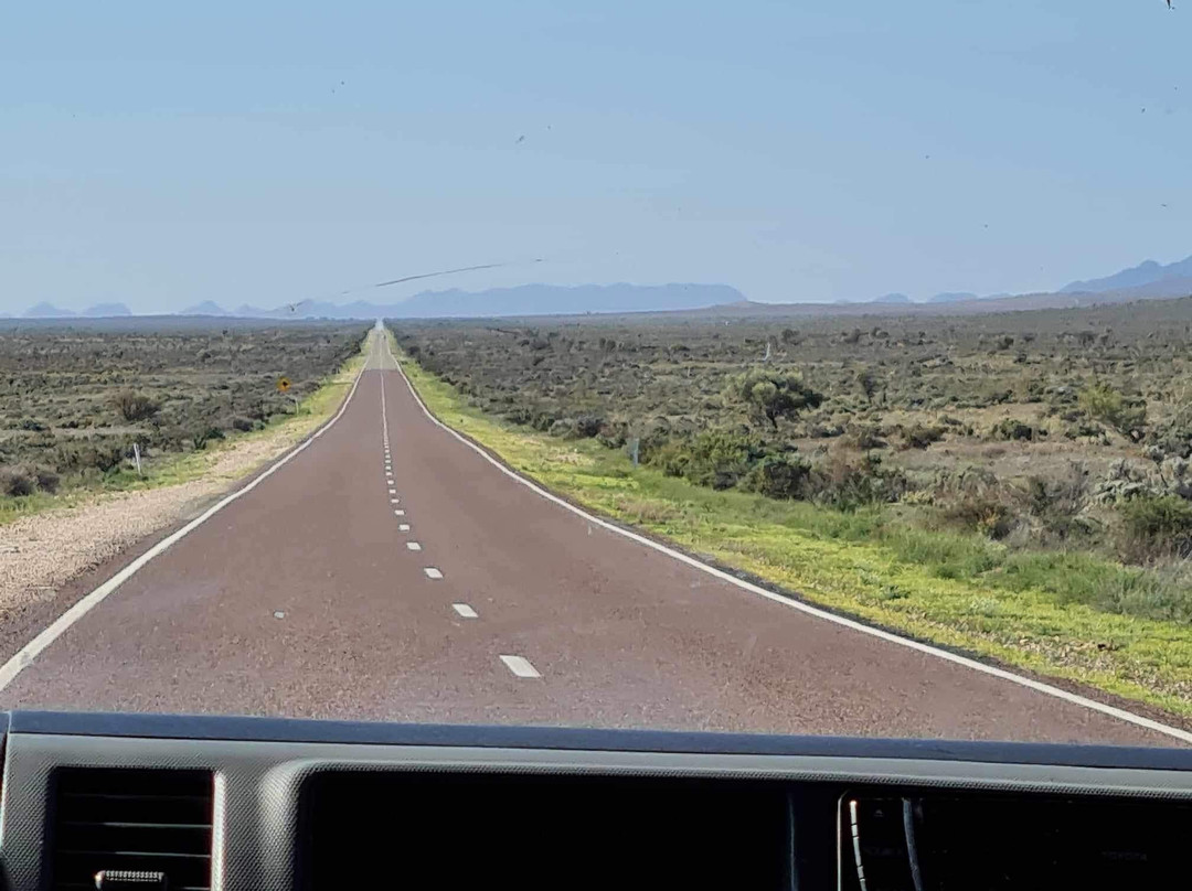 Lake Eyre Tours景点图片