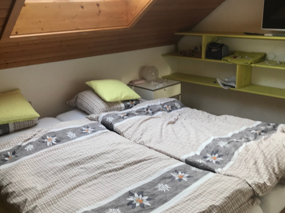 Pension Chalet Charme主图