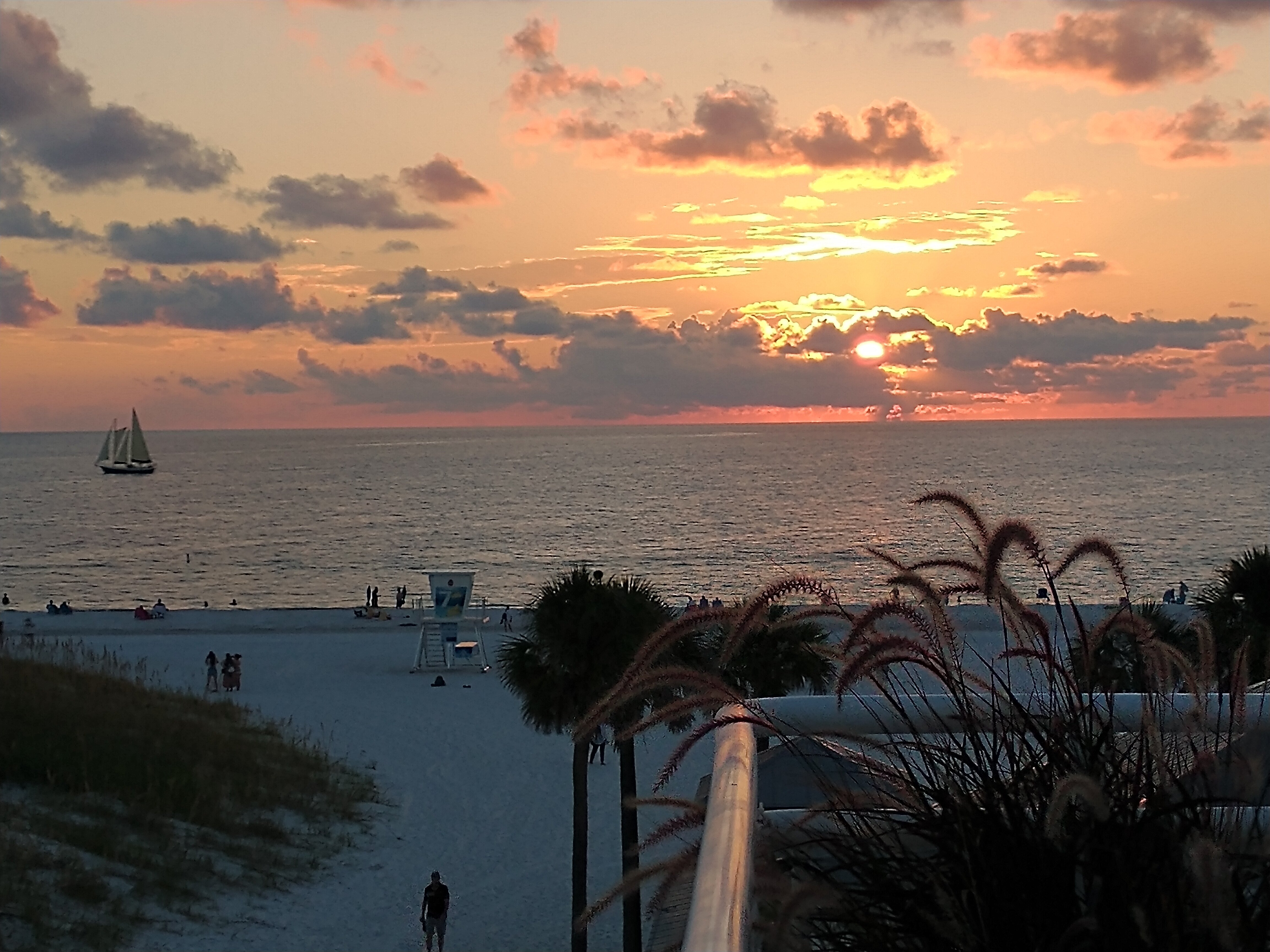 Palm Pavilion Inn on Clearwater Beach-酒店景观