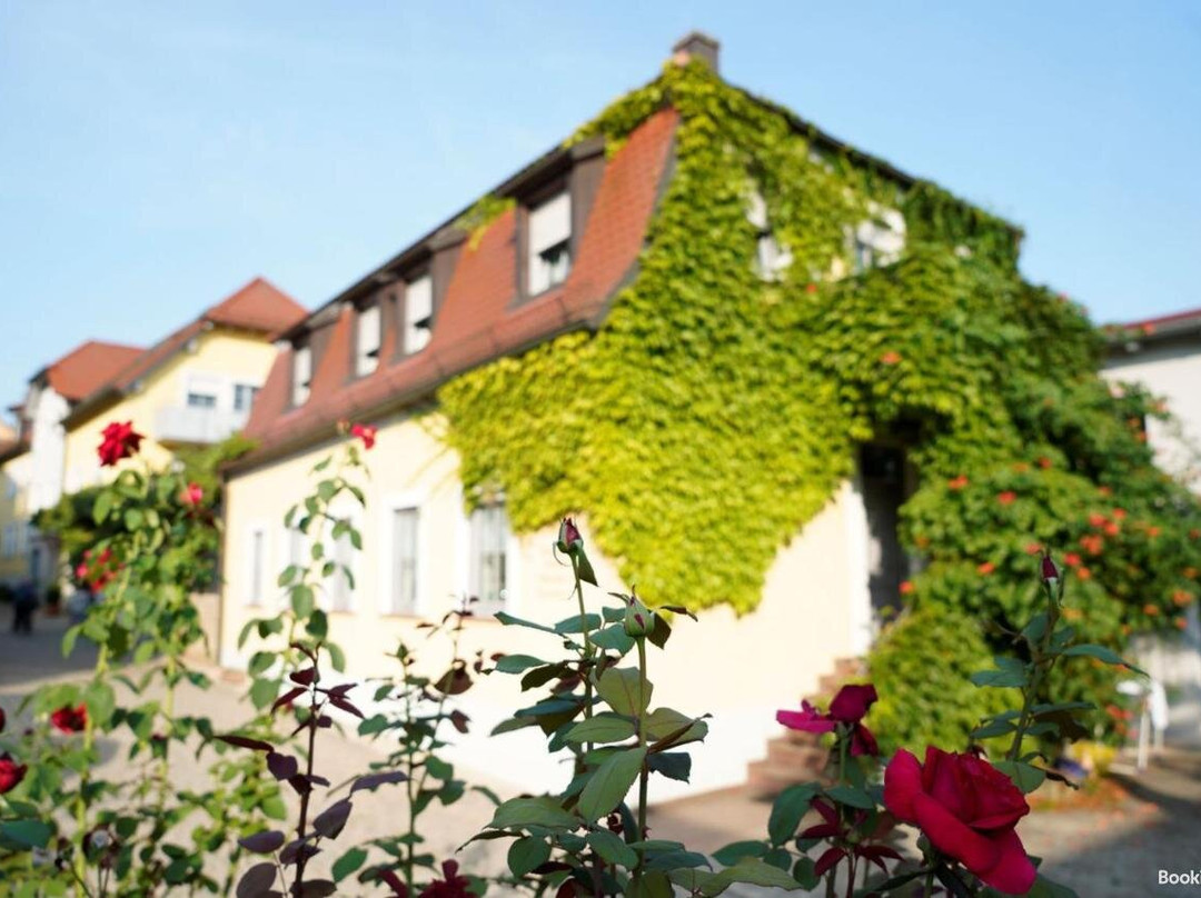 Weingut Erwin Blass Ubernachten主图