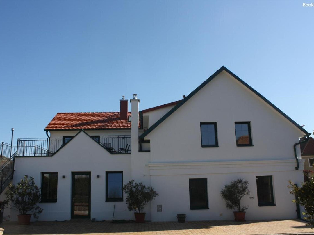 Bioweingut Schmidl主图