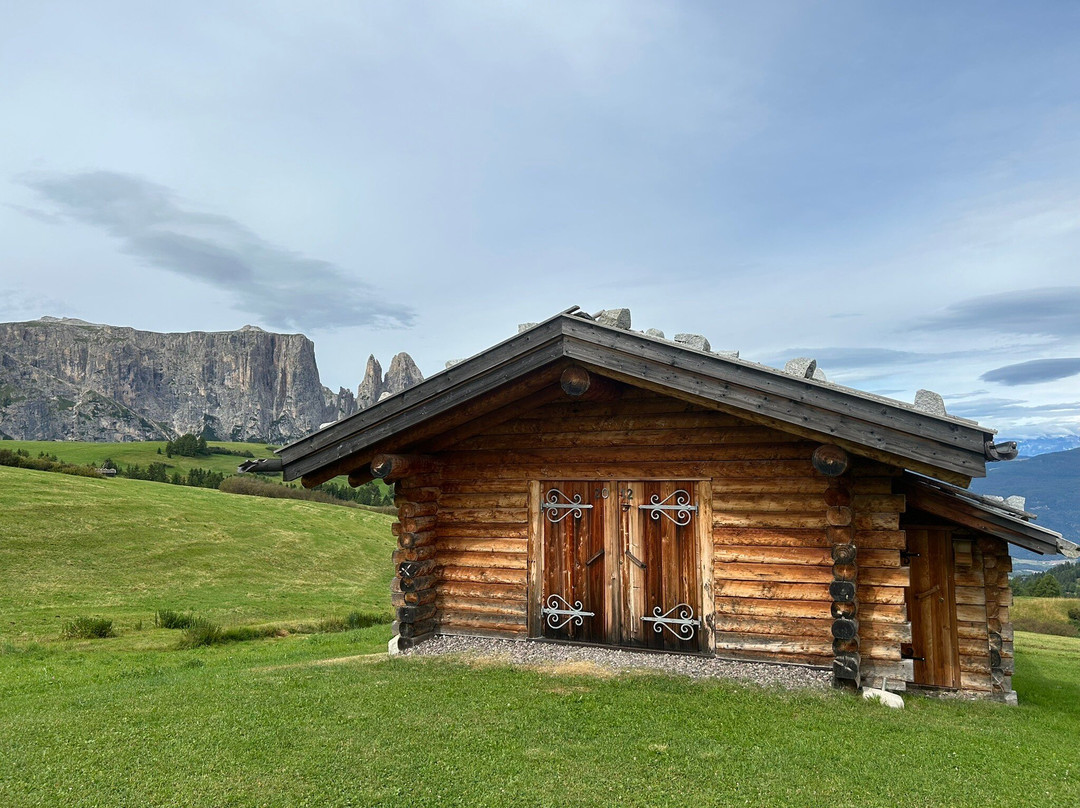 Alpe di Siusi景点图片