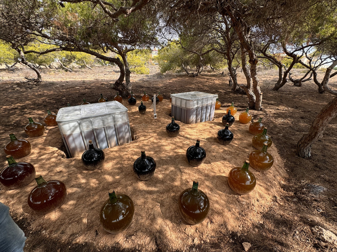 Universo Ferris-托雷维耶哈必去景点