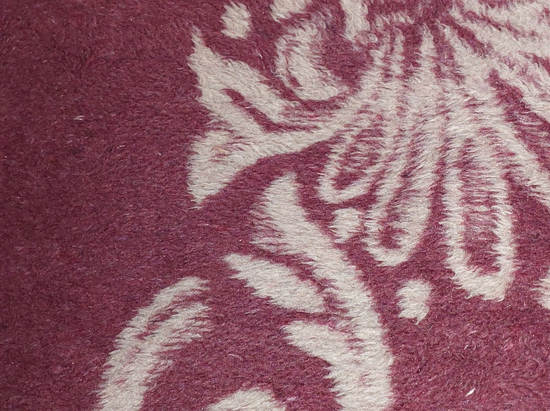 Tzaneen Guest House主图