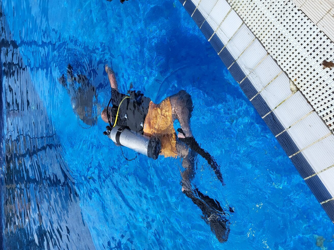 Dressel Divers Puerto Plata-普拉塔港必去景点