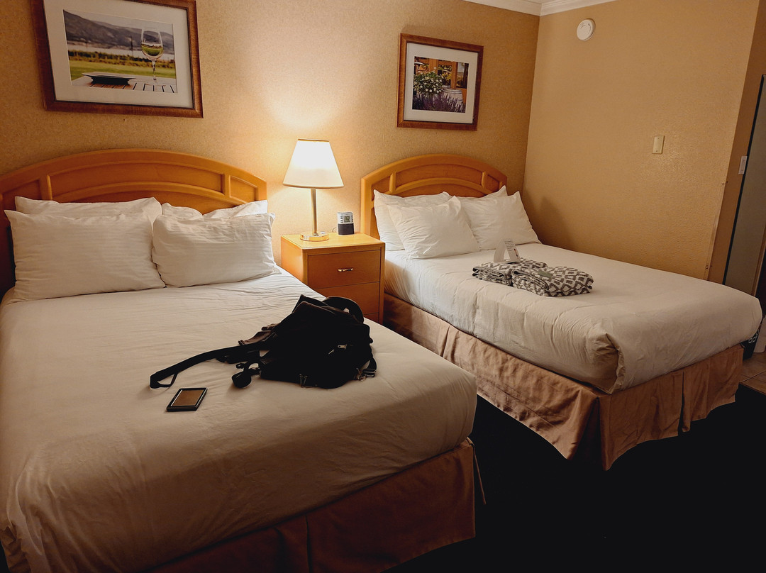 Best Western Inn At Penticton主图