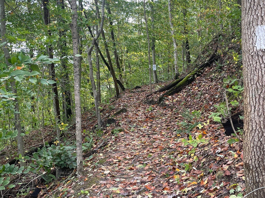 Bob Amos Park-Pikeville必去景点