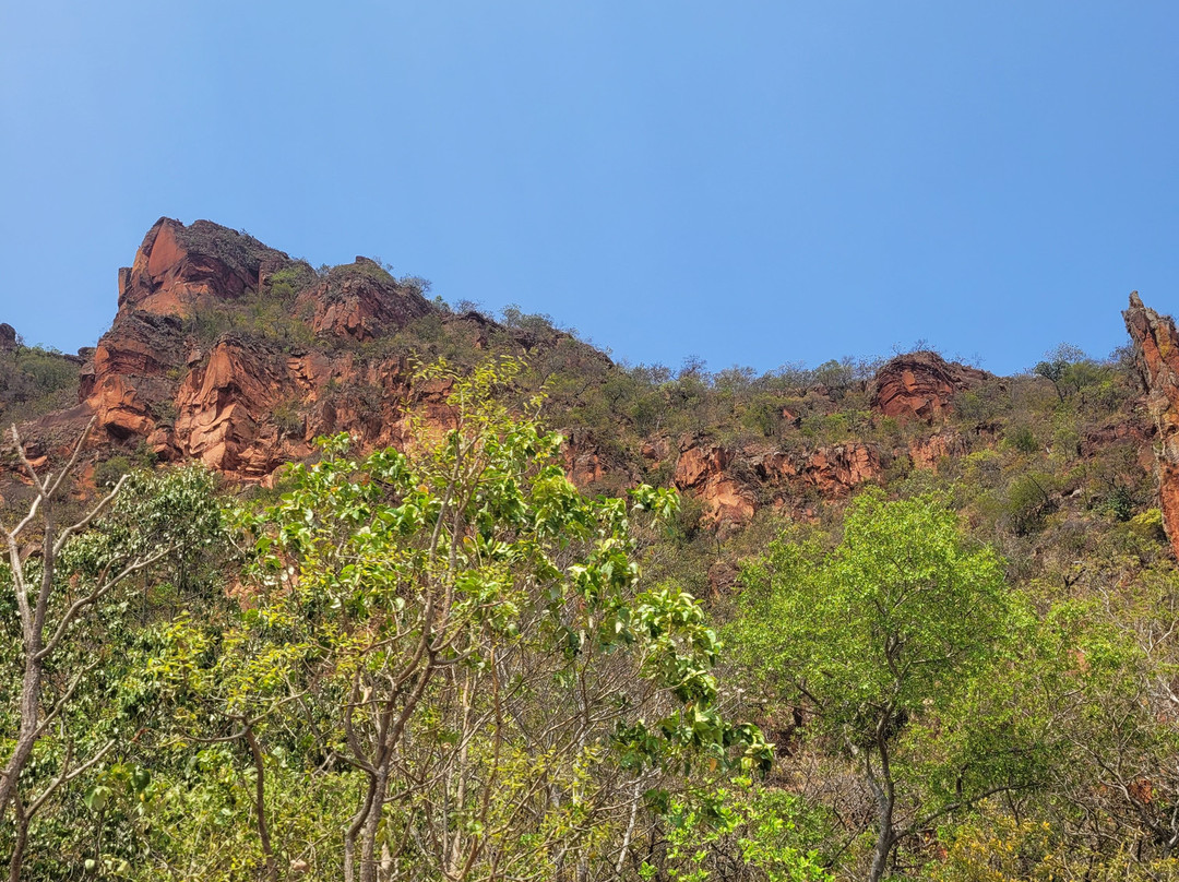 Pantanal Trip Tur景点图片