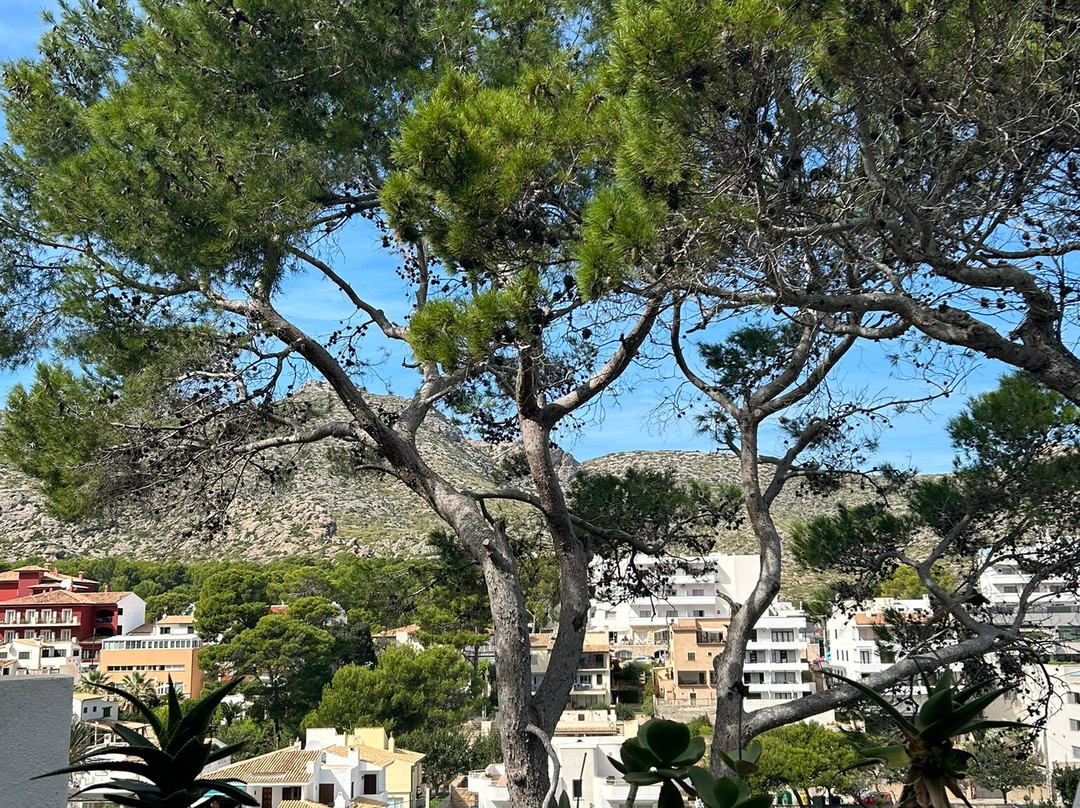 Hostal Los Pinos主图