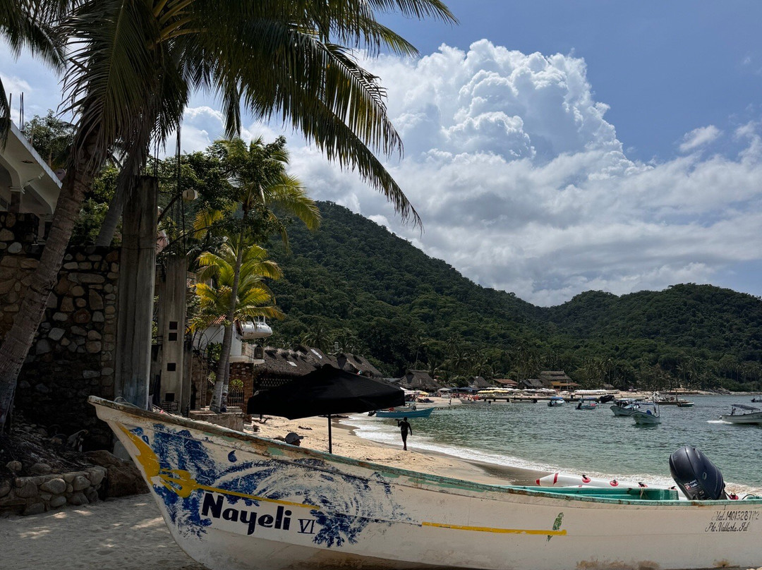 Puerto Vallarta Walking Adventures & Tours-瓦拉塔港必去景点