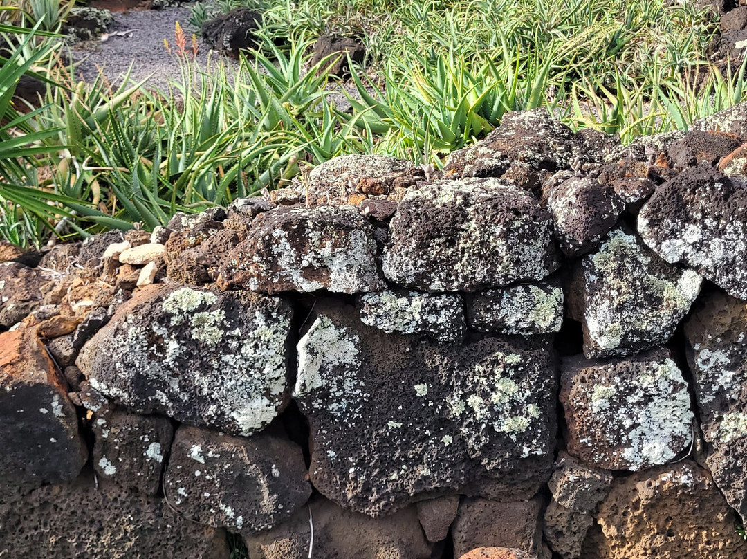 Moir Gardens-坡伊普必去景点