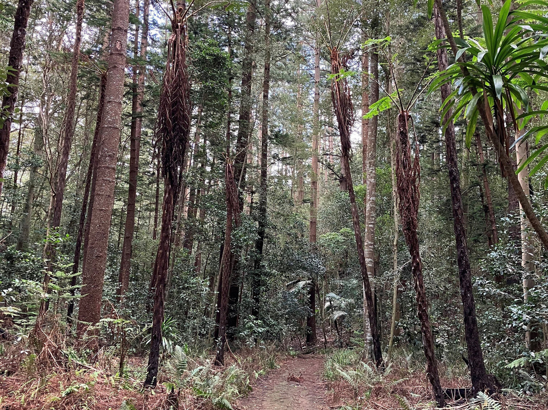 Hundred Acres Reserve景点图片