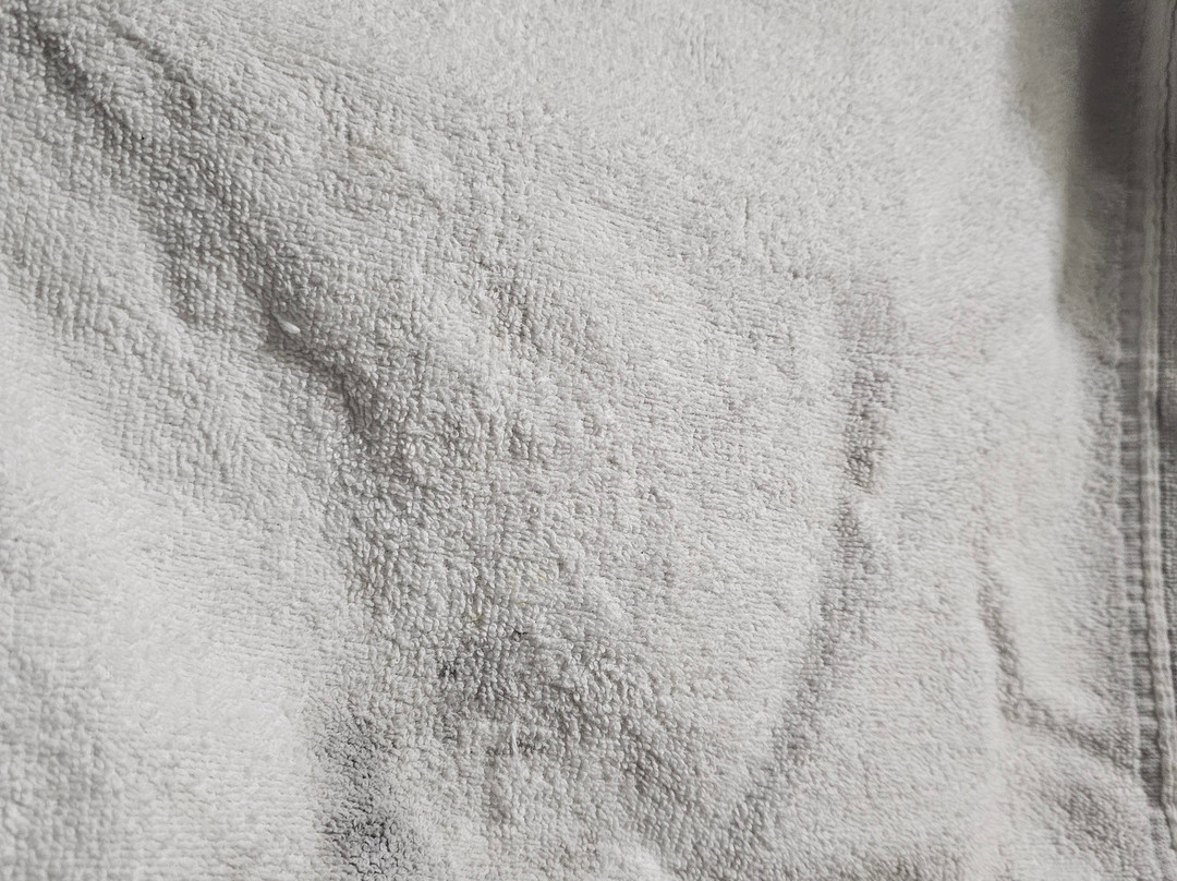 Super 8 by Wyndham North Sioux City主图