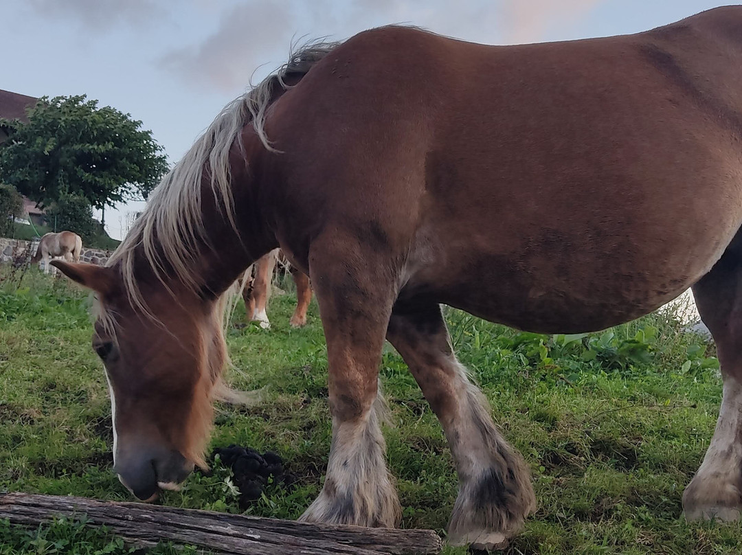 Casa Rural Aldekoa主图