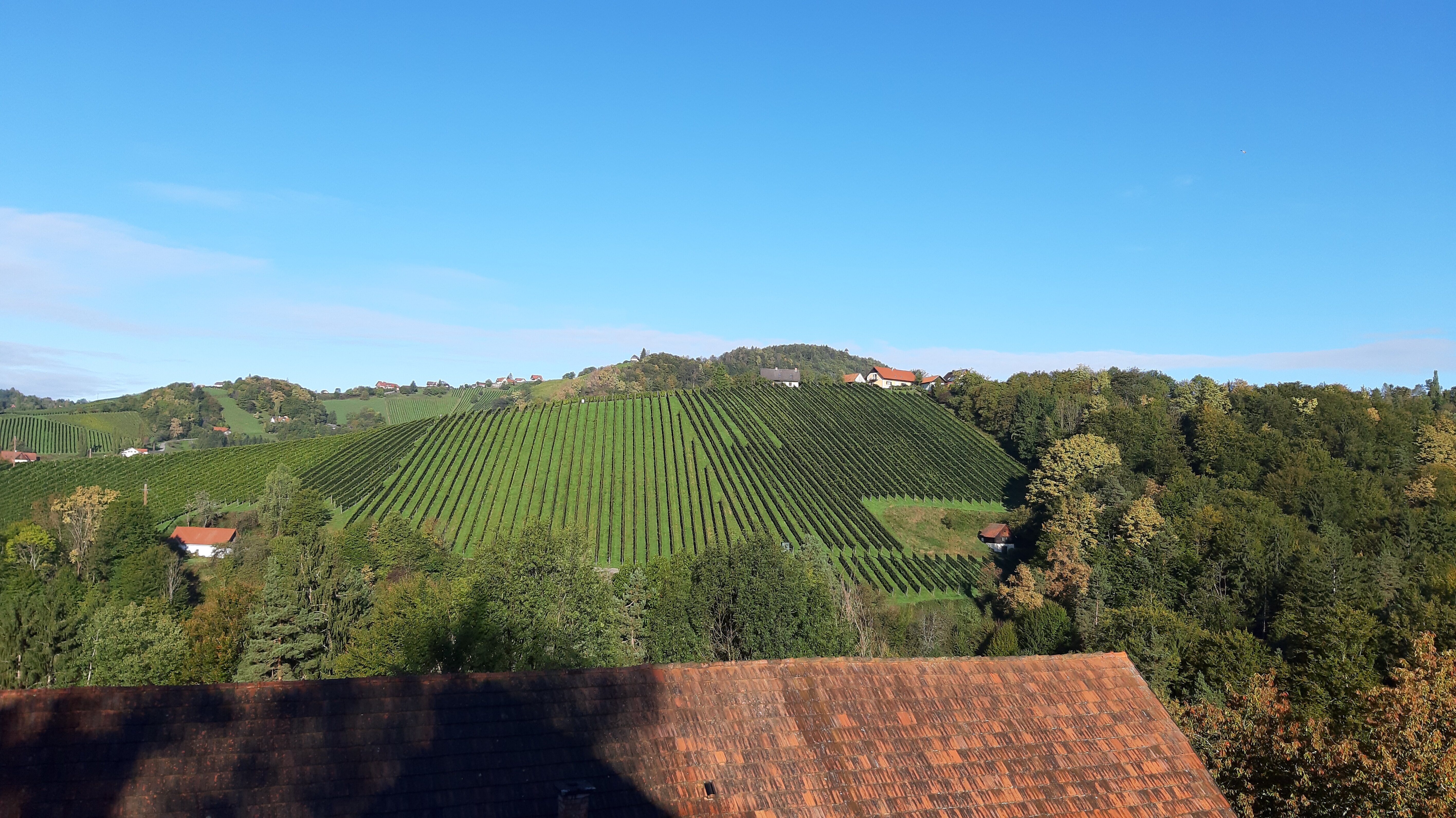 Weingut Schlafgut Genussgut Lorenz-官方