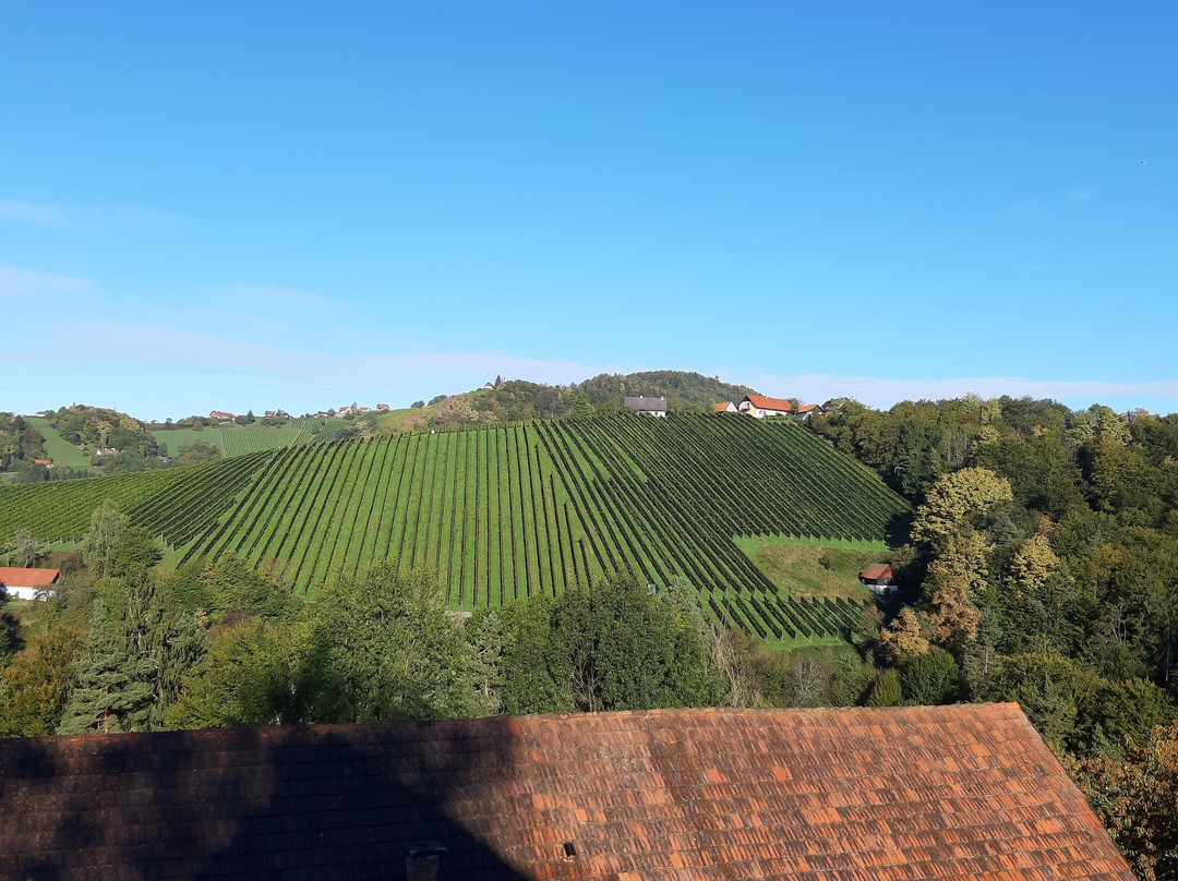 Weingut Schlafgut Genussgut Lorenz主图