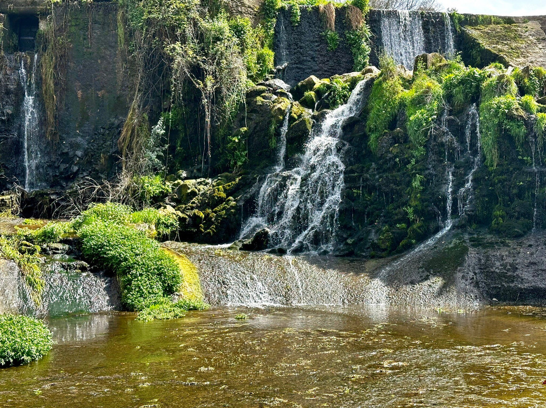 Salt del Moli Fondo景点图片
