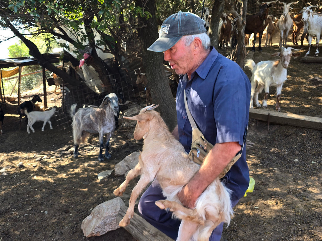 Sofie's Goat Farm-Argos必去景点