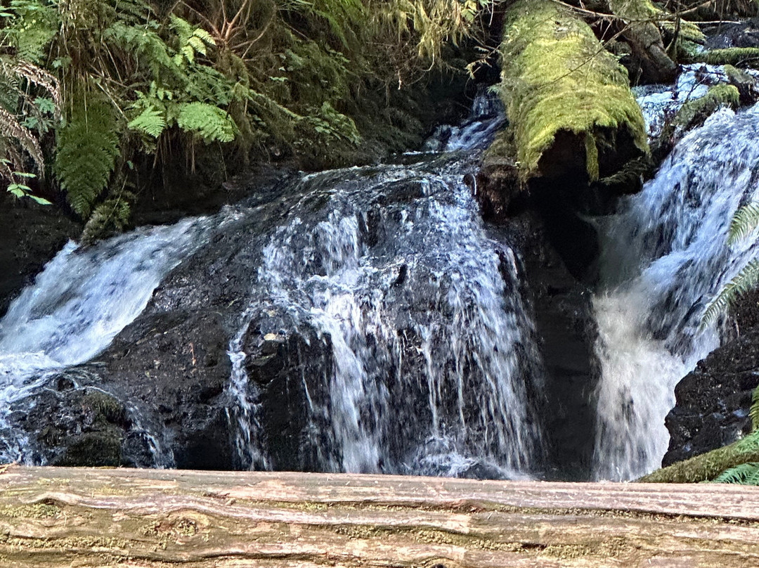 Ludlow Falls Interpretive Trail景点图片