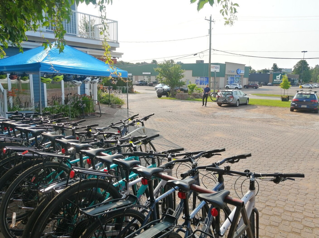 Macqueen's Bike Shop & Island Tours-夏洛特镇必去景点