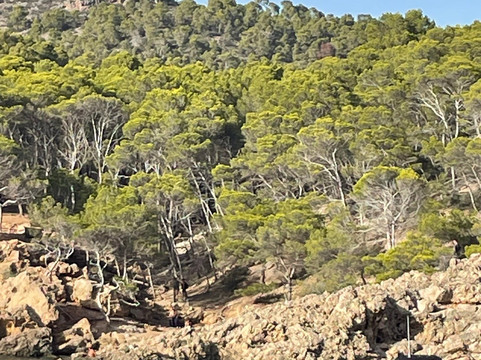 Cruceros Cormoran-帕格拉必去景点