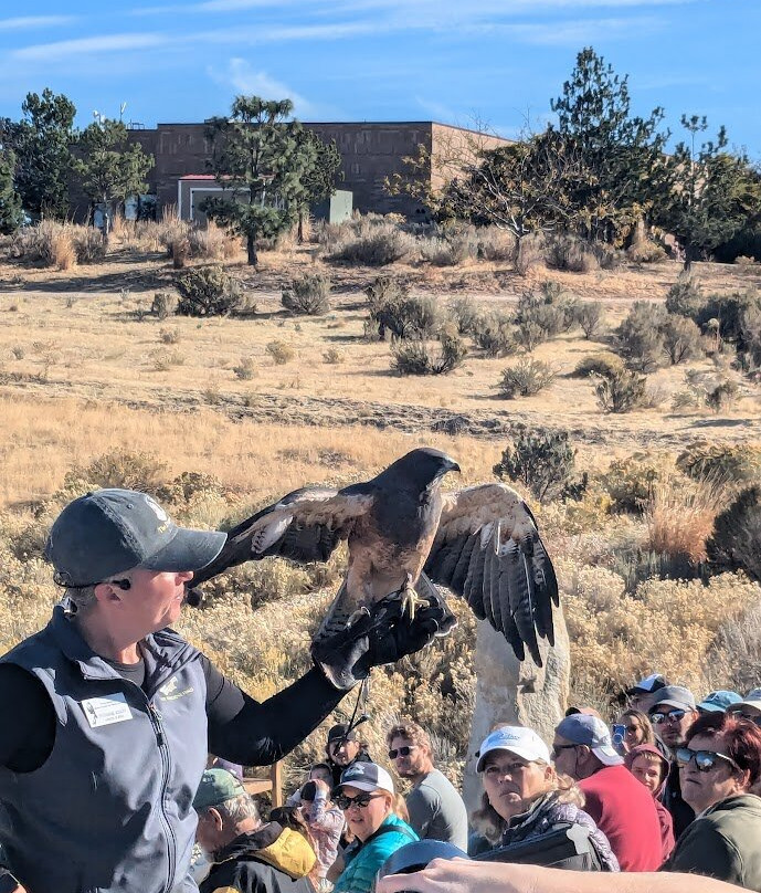 World Center For Birds of Prey-博伊西必去景点