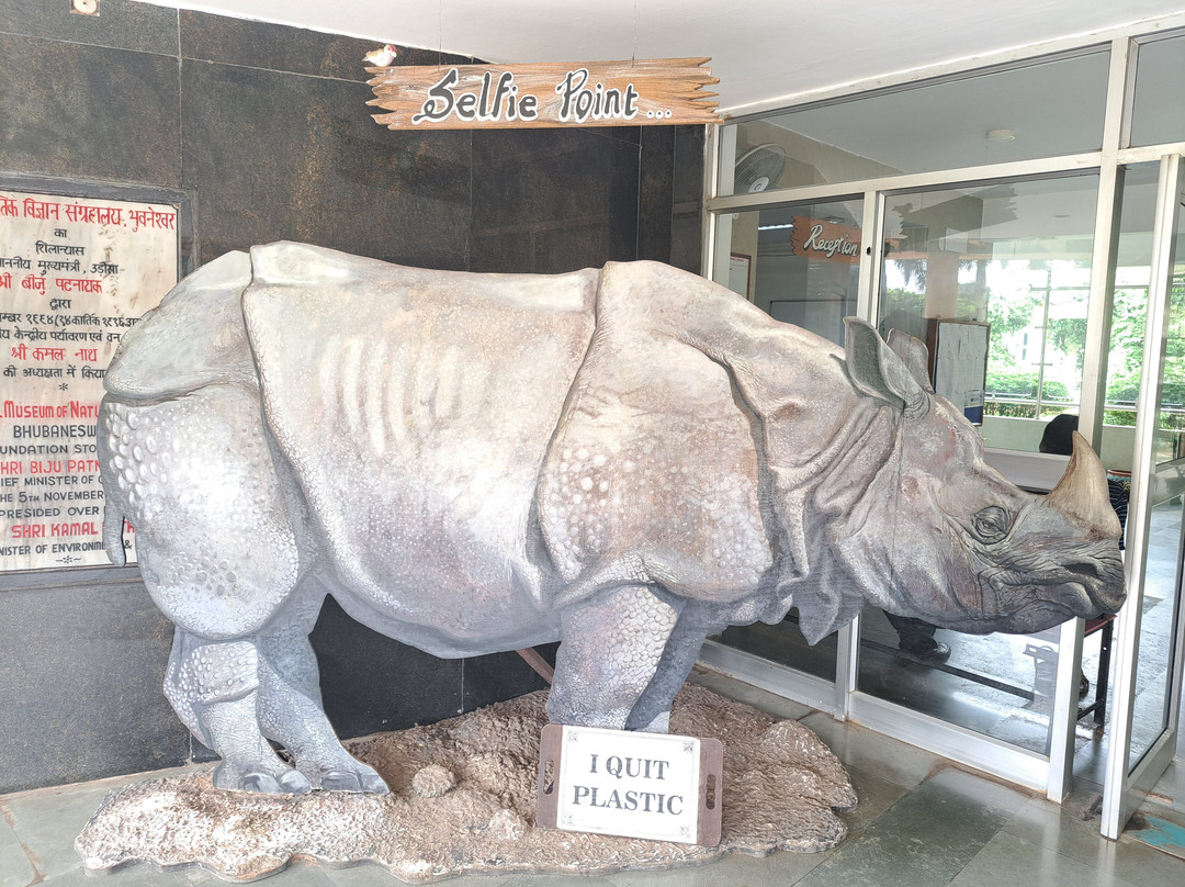Regional Museum of Natural History景点图片
