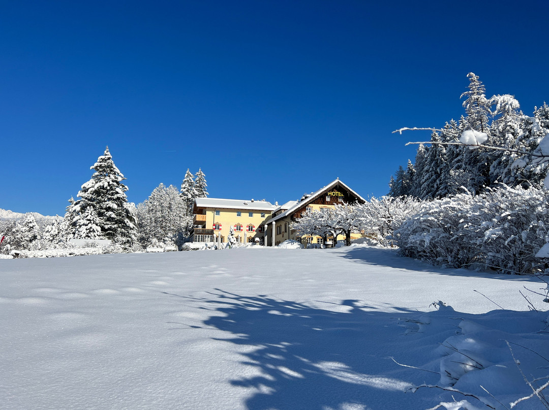 Hotel Gruenwalderhof主图