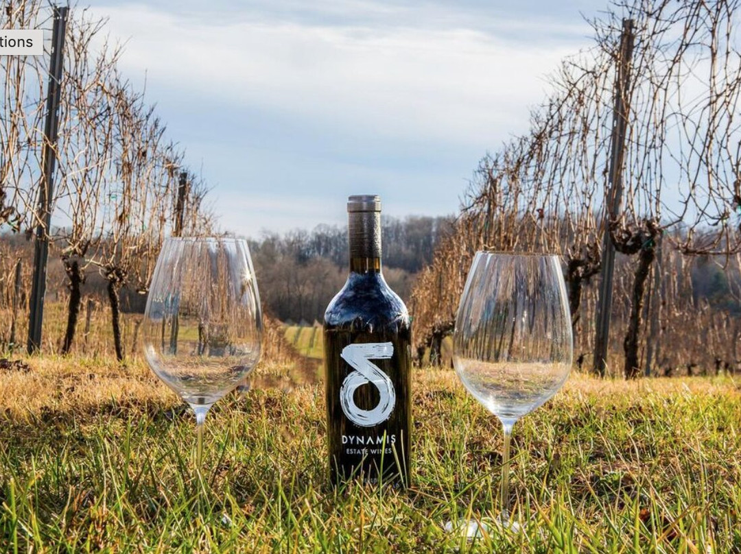 Dynamis Estate Wines景点图片