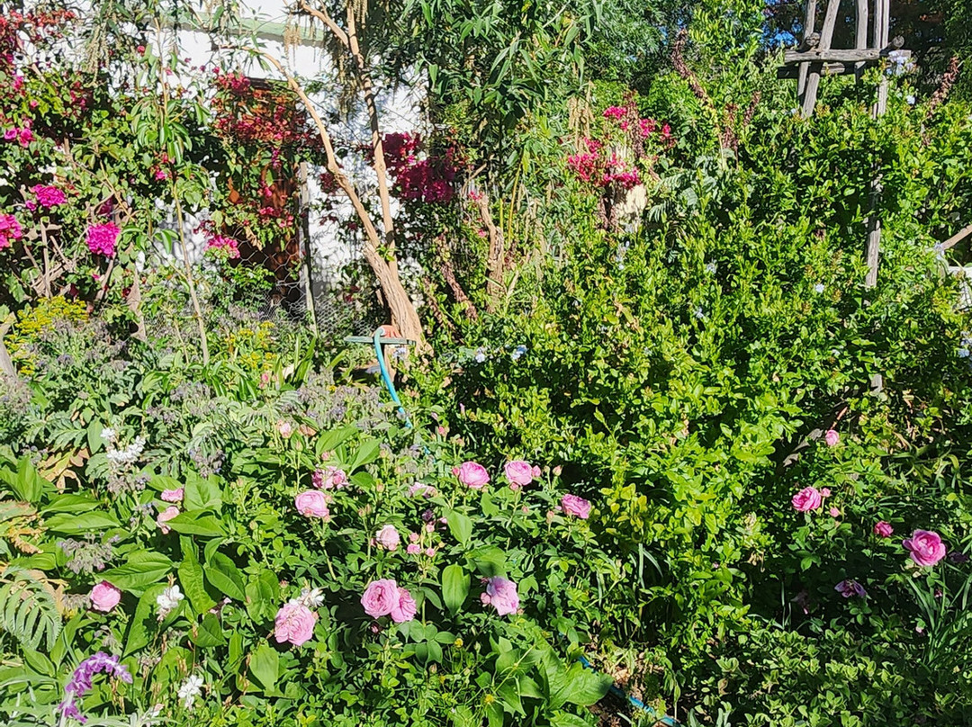 Prince Albert Country Stay主图