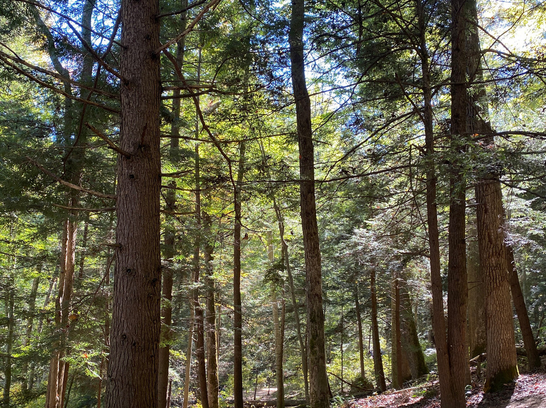 Cantwell Cliffs-洛根必去景点