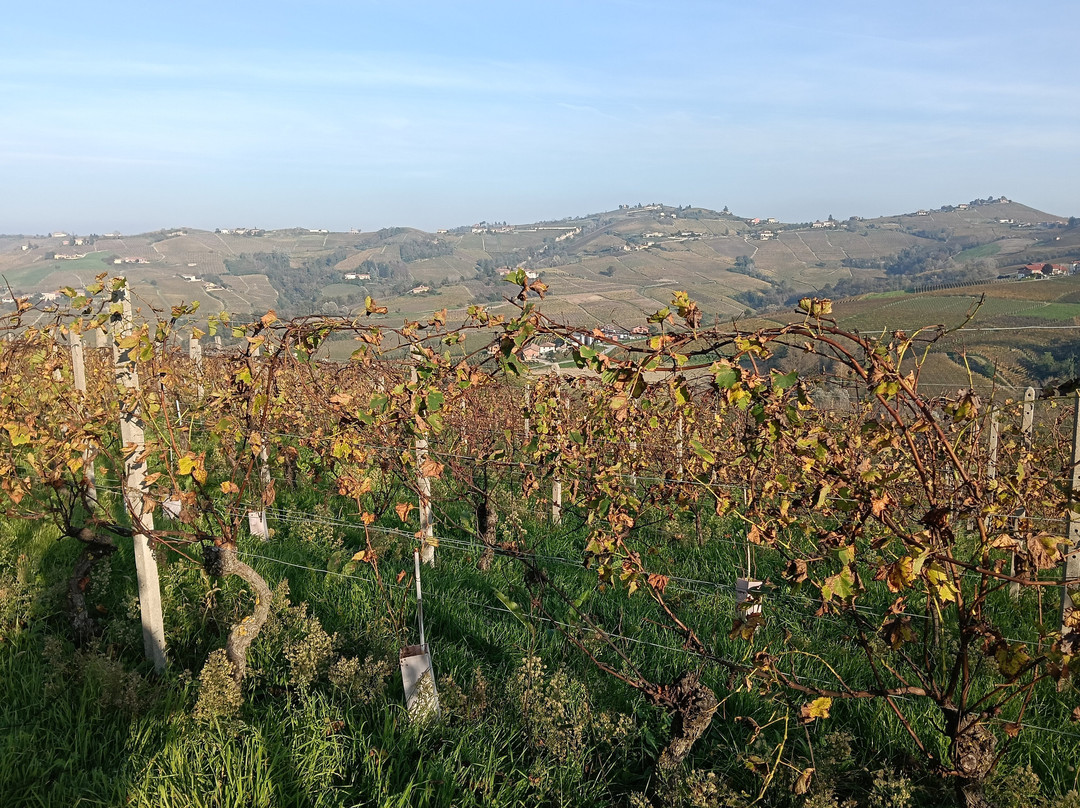La Vigna Dei Pastelli-Coazzolo必去景点