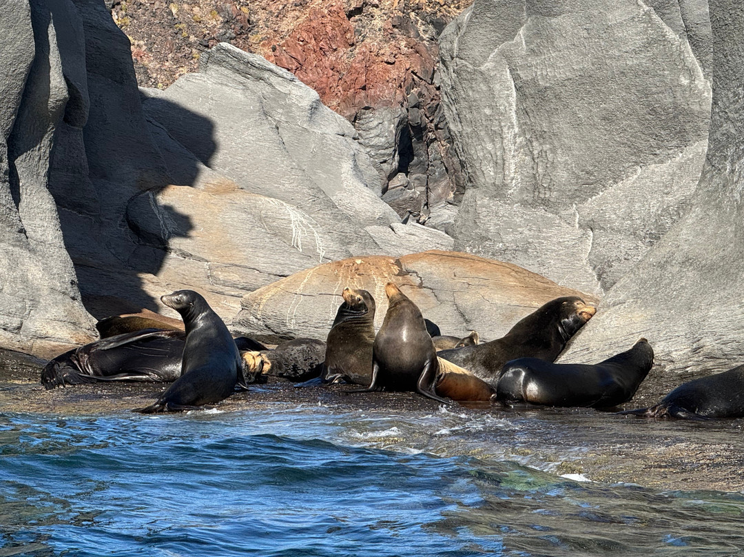 Blue Nation-洛雷托必去景点