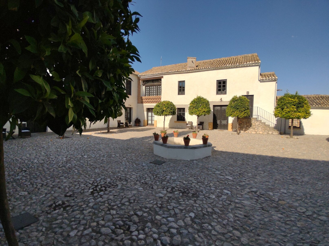 Hotel Cortijo Del Marques主图